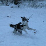 Sneeuw!
