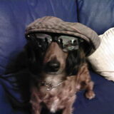 gek doen :-)