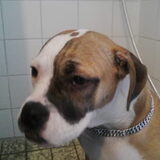 lady 1e keer douche