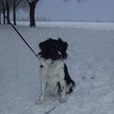 Sneeuw 2010/2011