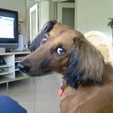 die oogjes toch!!