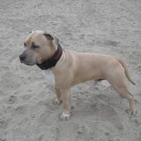 8 maanden oud