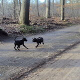 spelen met django