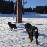 Welke lift gaan we nemen om naar boven te gaan ? of zouden we daar niet…