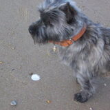Lekker op het strand
