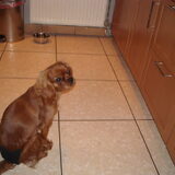 Haar 1x regels