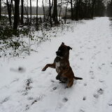 Pret in de sneeuw