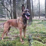 Bentley.....wat is het toch een mooie dame
