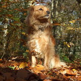 Herfst 2010