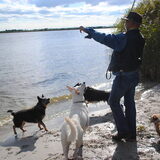 HP Wandeling - Zeewolde