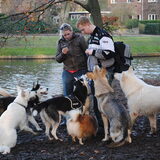 HP Wandeling - Heemstede