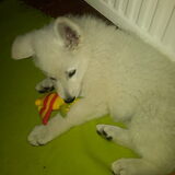 Spelen!