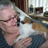 Mijn lieveling Dusty en Ik