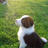 Foto van Gerrie en Cas