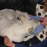 Tessa en Pippa