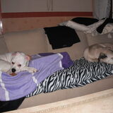 Angel en Senna