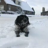 lekker in de sneeuw @ daar houd ze van luca je bent lief