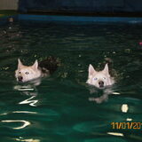 Samen durven we wel een rondje