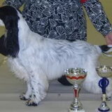En dit is de vader van Fabian, Rocky Raccoon, van Zweedse afkomst…