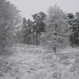 zandverstuiving Haantjebak in de sneeuw