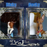Binky en Rocky
