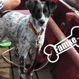 Foto van Loes & Famke