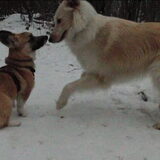 Lekker spelen in de sneeuw!