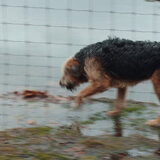 lekker door het water lopen.