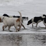 Mijn 3 kanjers bij elkaar in Hoek van Holland aan het strand.