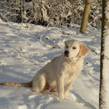 bianca in de sneeuw