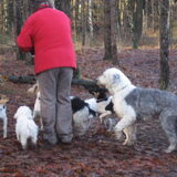 Op een wandeling in Chaam.