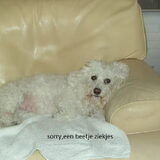 Foto van jacky van camp