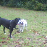 Foto van Lady,,,Melissa,,,Rocco