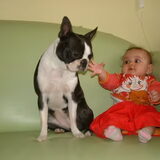 Mijn dochter Isabella met mijn eerste Boston Mona * RIP *