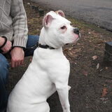 Angel,16-01-2011