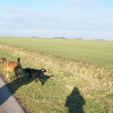 Foto van Marlies
