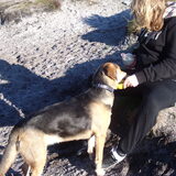Foto van Angelique & Doenja