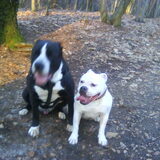 Foto van Lady,,,Melissa,,,Rocco