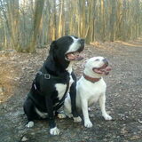 Foto van Lady,,,Melissa,,,Rocco