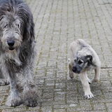 KumBaYah samen met haar opa, die helaas vorig jaar is overleden. Maar…