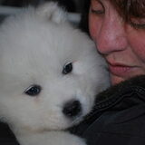 Wat is ze lief