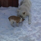Samen met Thijs in de sneeuw!