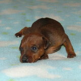 Dit is Angel 17 dagen oud 2011
