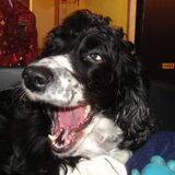 lachen jonguh!! ;P