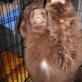 Hi five!!!