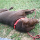 lekker relaxen op de camping!