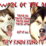 Beware of the dogs