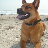Foto van Ozzie & Stich