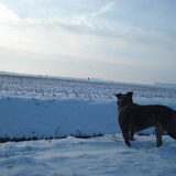 Foto van Ozzie & Stich