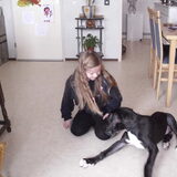 destiny en baily met de kerst